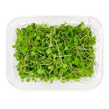 Arugula