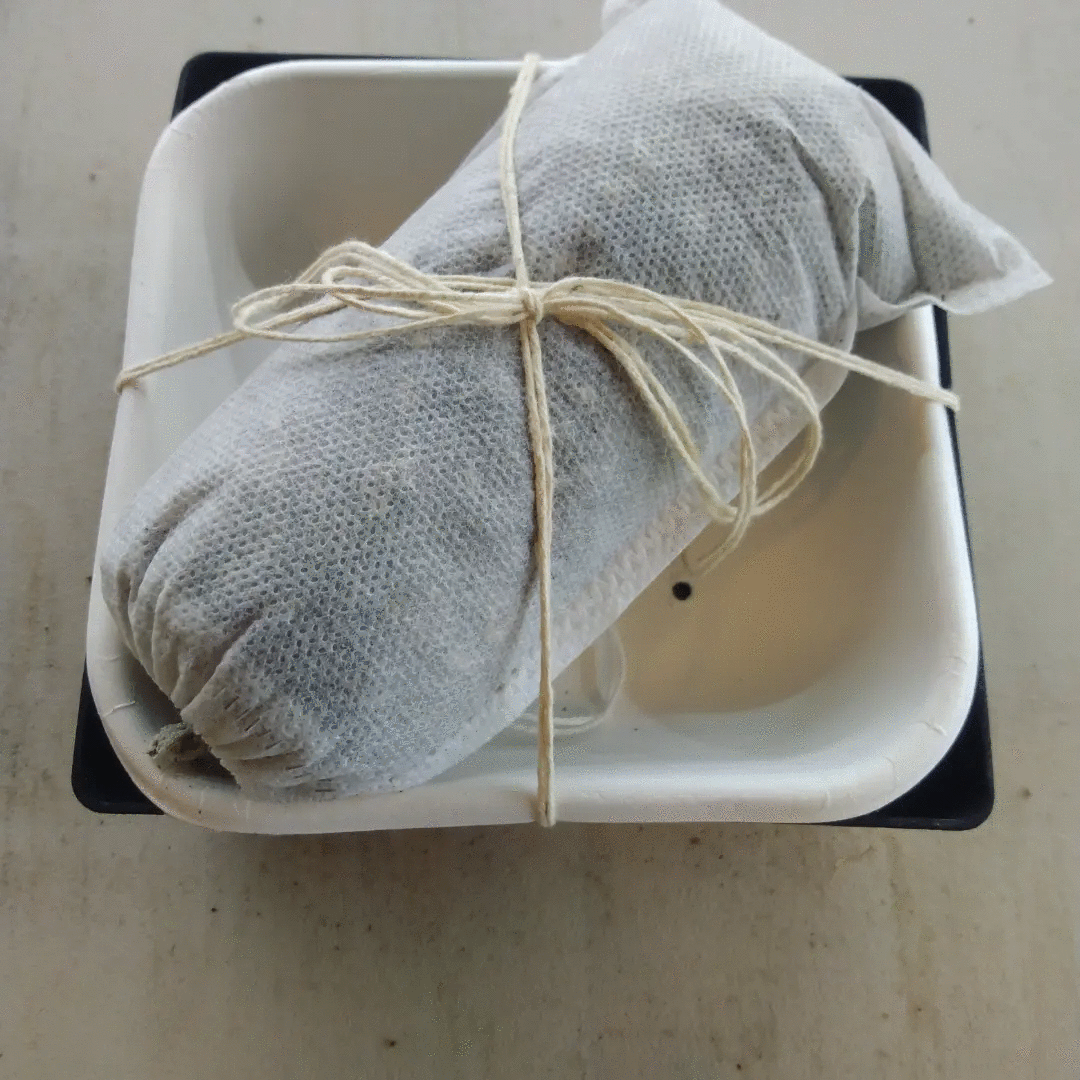 MICRO-GARDEN KIT DOUBLE PACK