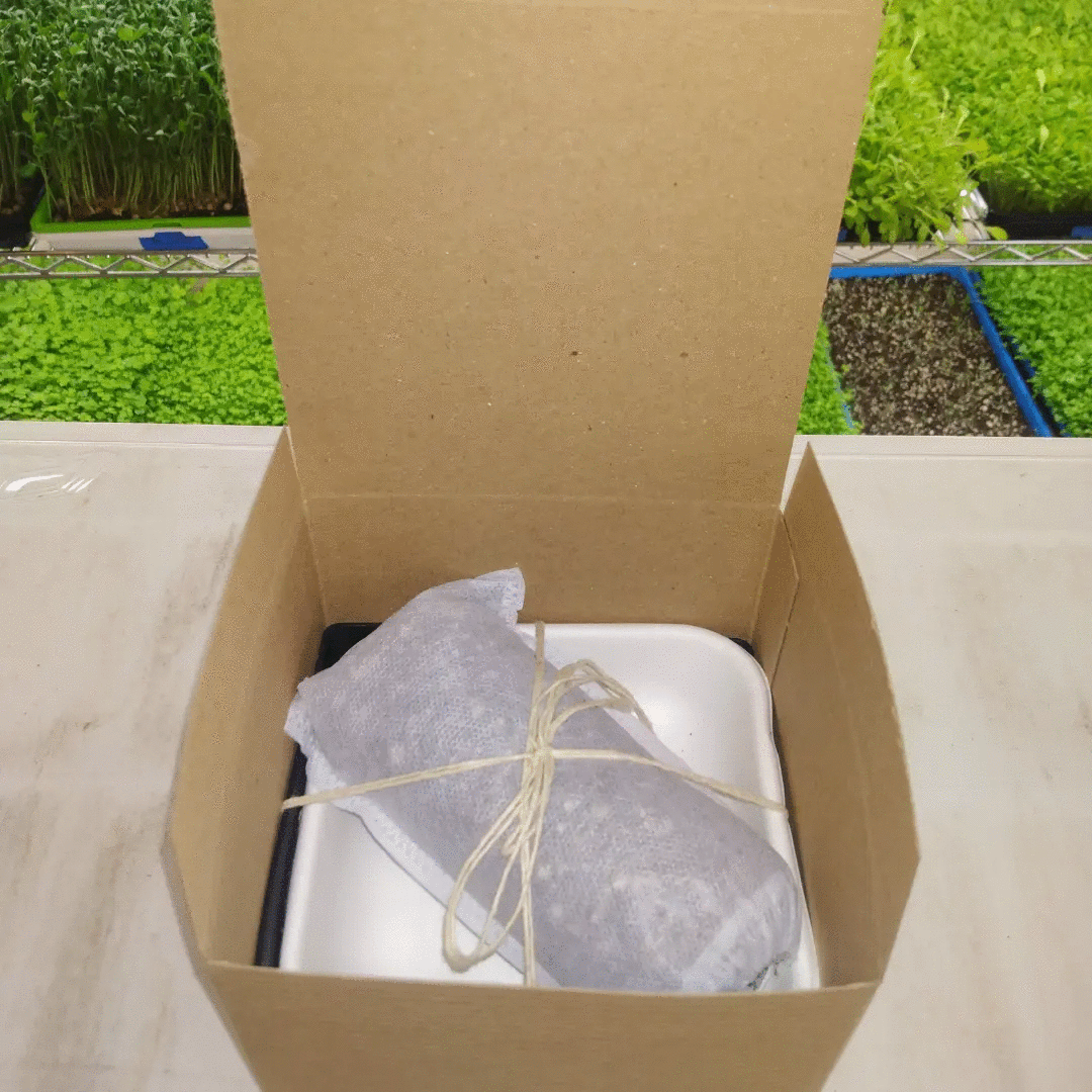 MICRO-GARDEN KIT DOUBLE PACK